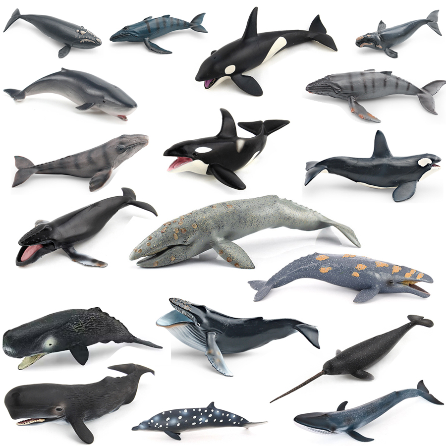 Kids Education Picture - Figurines Réalistes de Baleines (Mors, Narval,