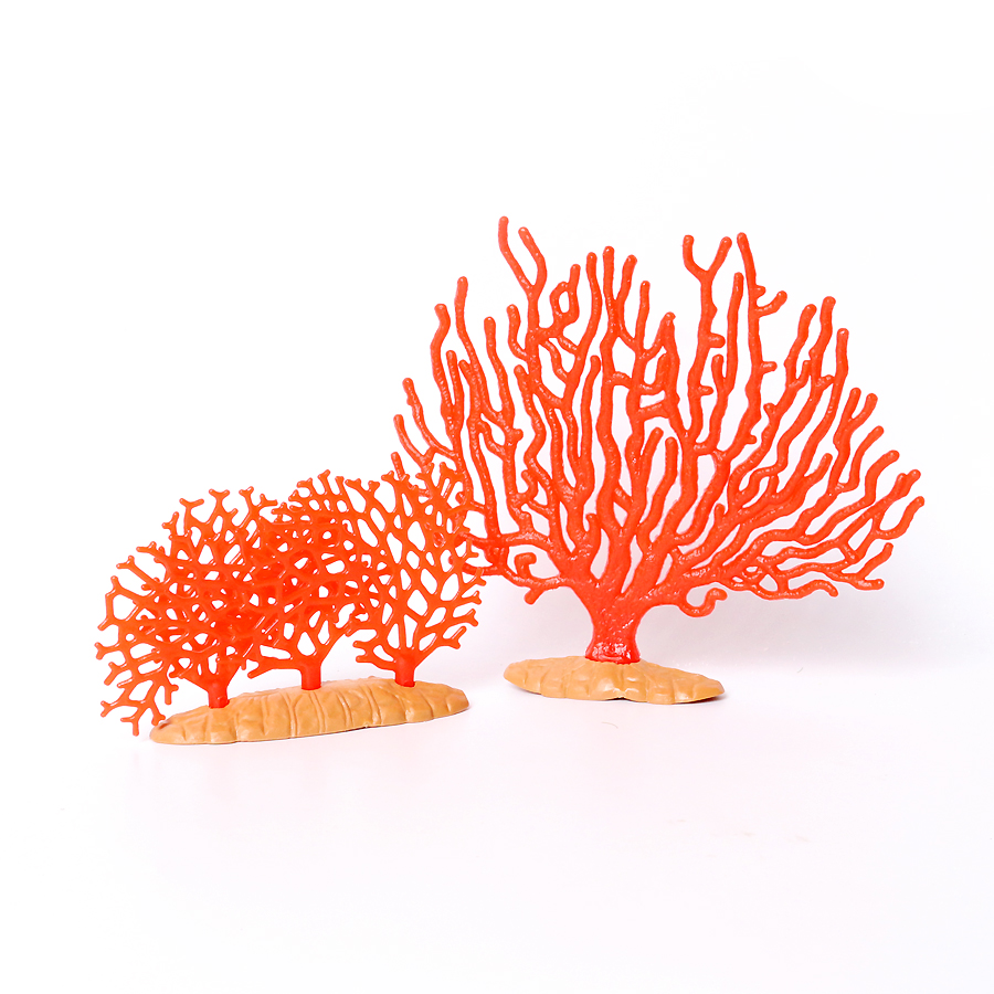 Anémones de mer en corail réal - Kids Education Picture avis et prix