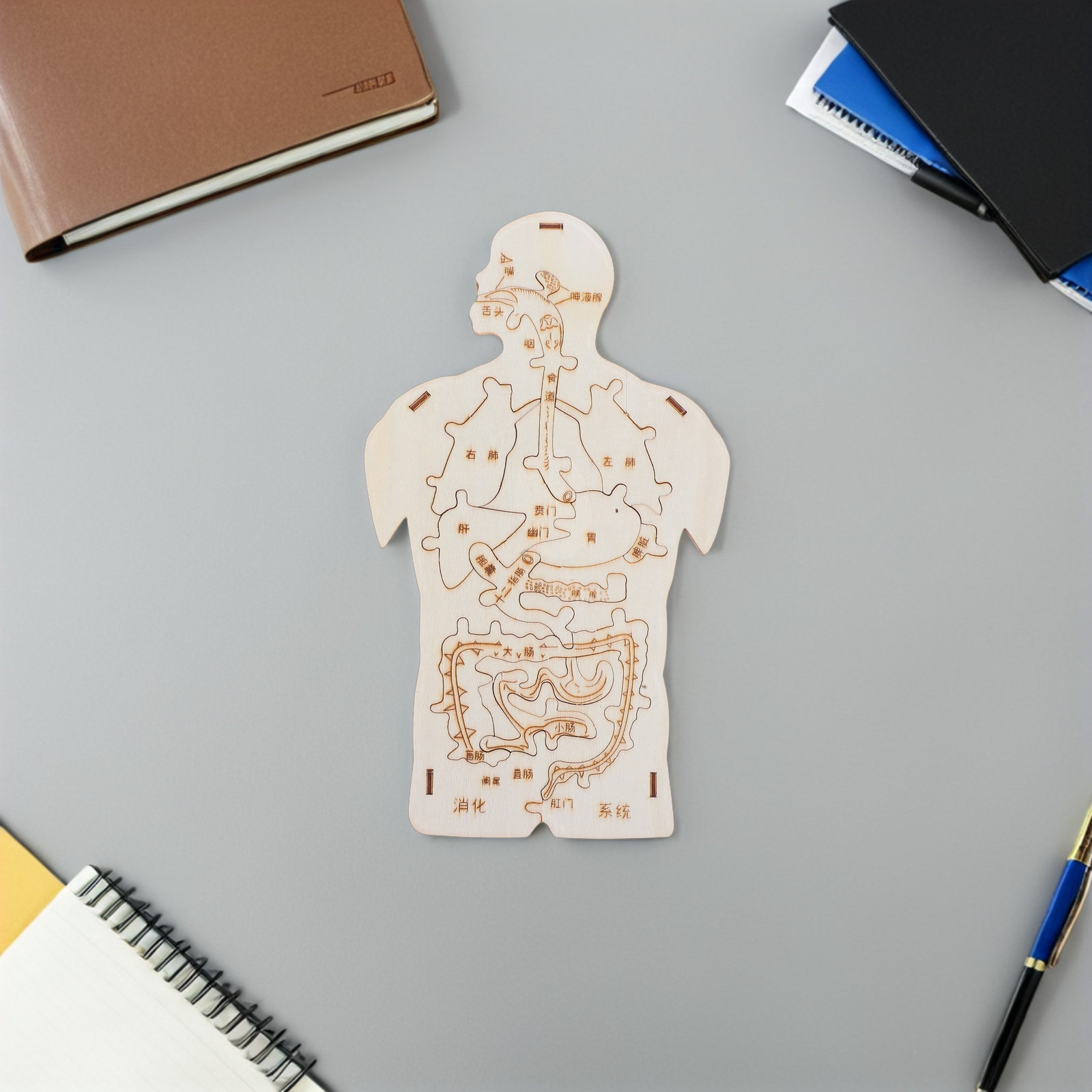 Ensemble éducatif de 3 puzzles - Kids Education System avis et prix