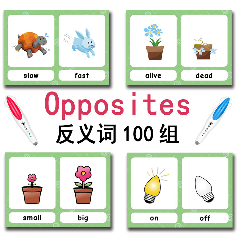 100 cartes mémoire sur les gro - Kids Education Gift avis et prix