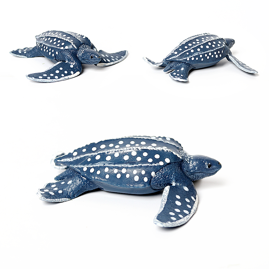 Simulation de tortue de mer So - Kids Education Picture avis et prix