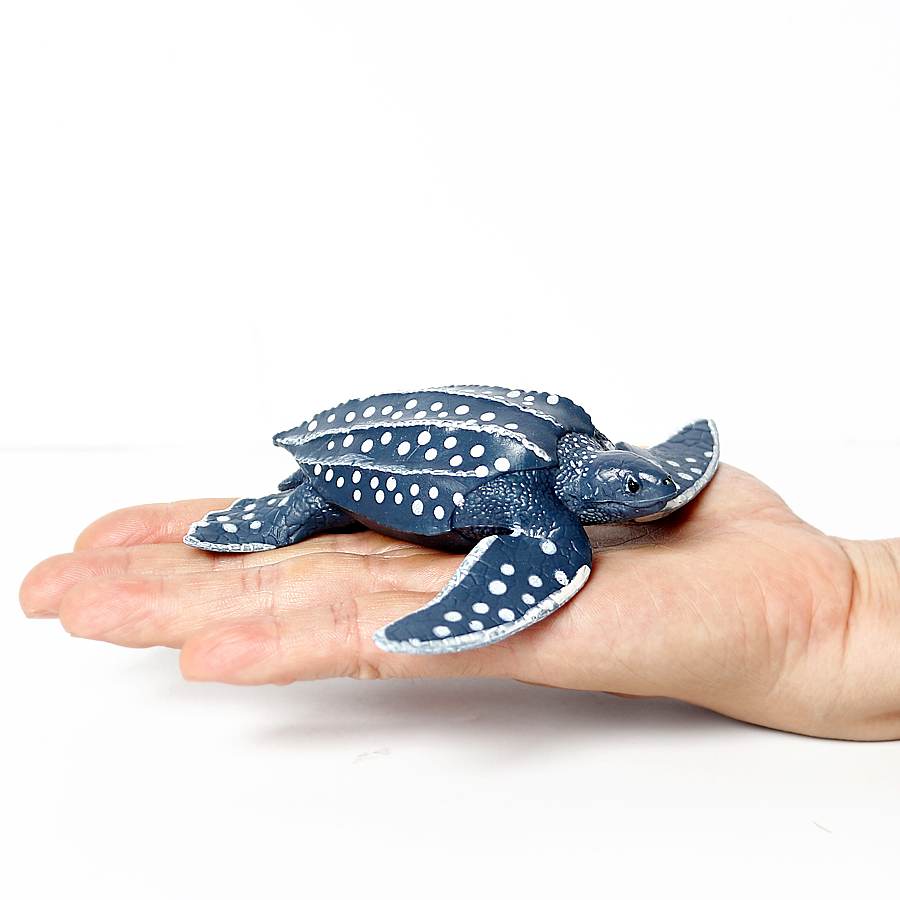 Simulation de tortue de mer So - Kids Education Picture avis et prix