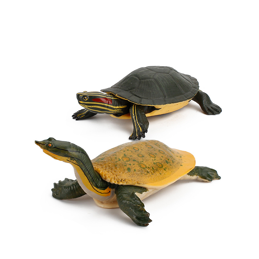 Simulation de tortue de mer So - Kids Education Picture avis et prix