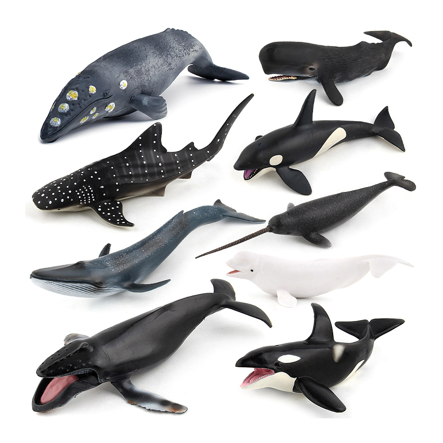 Figurines Réalistes de Baleine - Kids Education Picture avis et prix