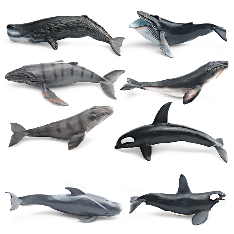 Figurines Réalistes de Baleine - Kids Education Picture avis et prix