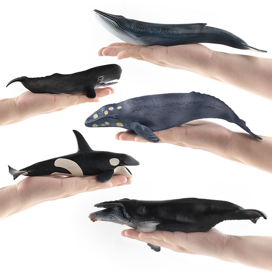 Figurines Réalistes de Baleine - Kids Education Picture avis et prix