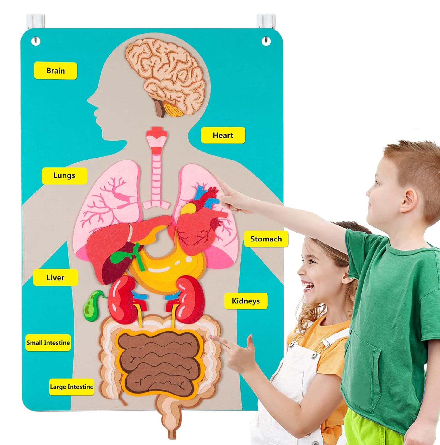 Pièces du corps humain, planch - Kids Education Story avis et prix