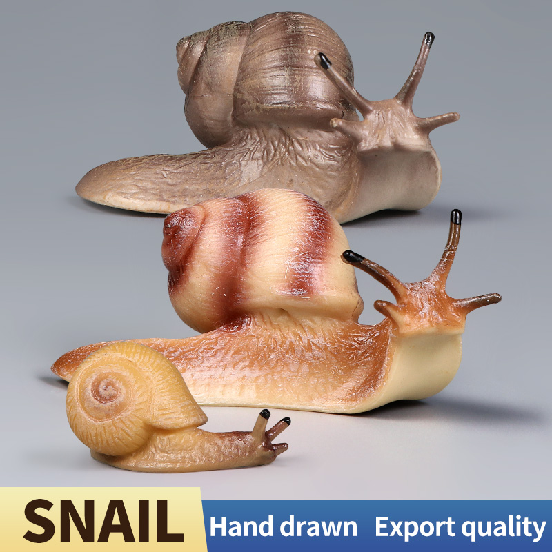 Figurines d'escargots éducativ - Kids Education Picture avis et prix