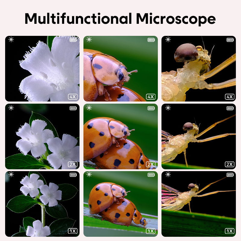 Mini Microscope optique pour e - Kids Educational Videos avis et prix