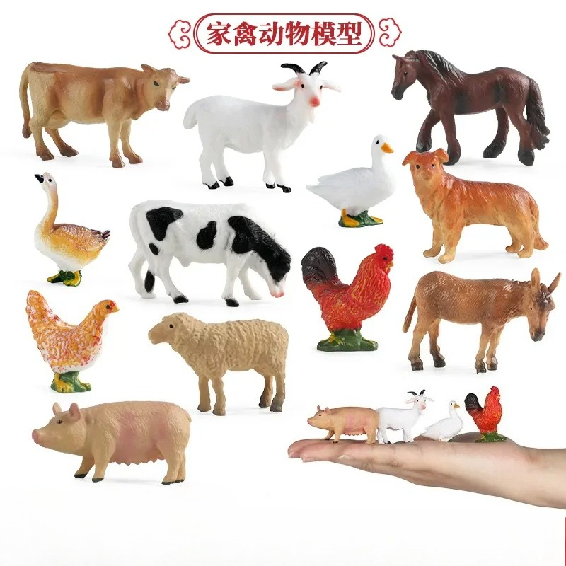 Outil d'enseignement éducatif, - Kids Education Tools avis et prix